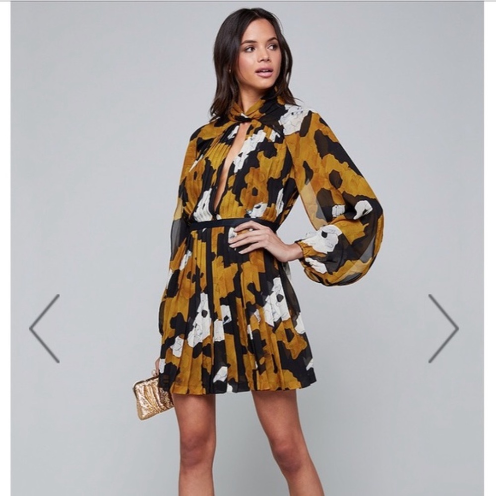 Bebe Print Pleated Chiffon Dress, Size 6, NWT